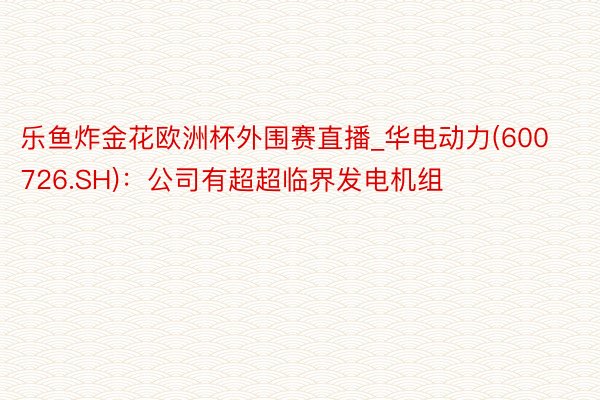 乐鱼炸金花欧洲杯外围赛直播_华电动力(600726.SH)：公司有超超临界发电机组