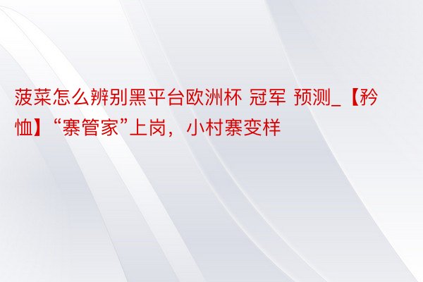 菠菜怎么辨别黑平台欧洲杯 冠军 预测_【矜恤】“寨管家”上岗，小村寨变样