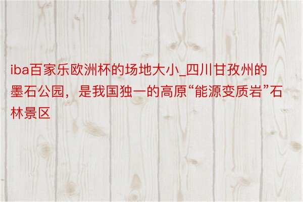 iba百家乐欧洲杯的场地大小_四川甘孜州的墨石公园，是我国独一的高原“能源变质岩”石林景区